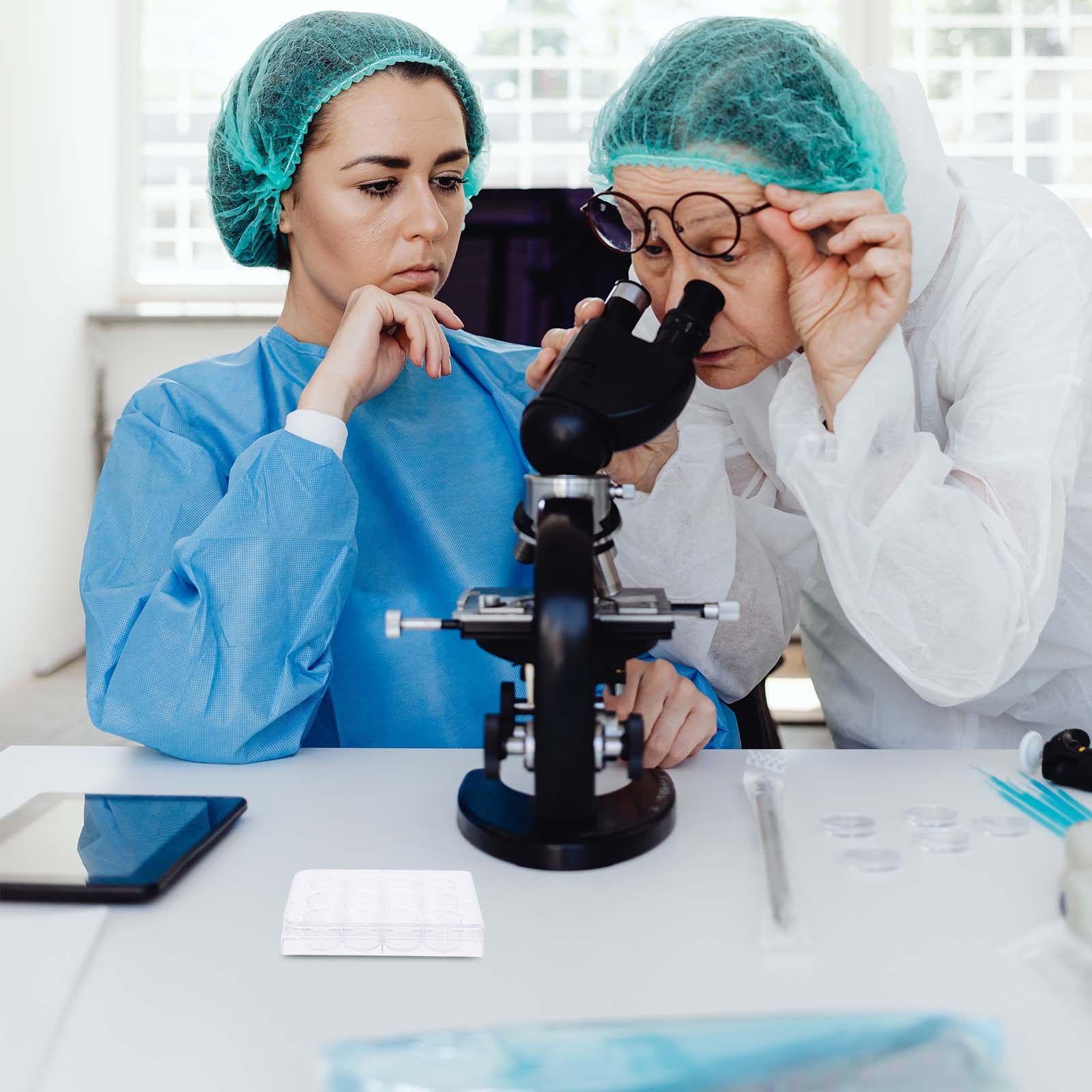 Lab Equipment - Пластинка для культивирования клеток с 12